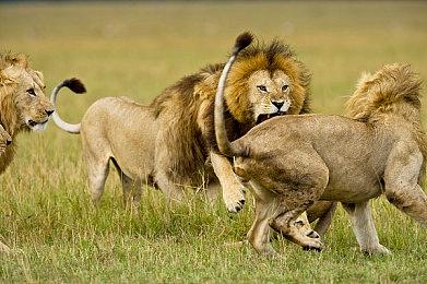 3DMark加入新采样反馈评分 已支持完整4个DX12 U特性